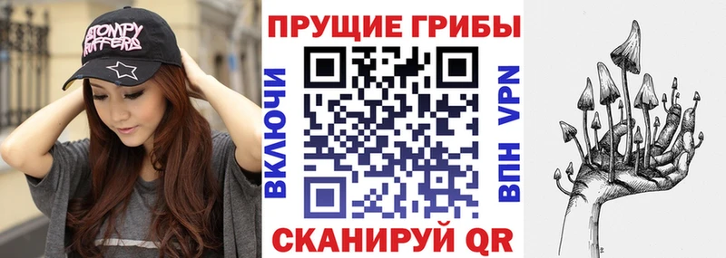 Купить где Пермь Галлюциногенные грибы прущие грибы